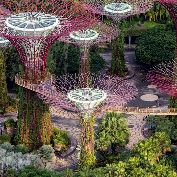 Singapore Romantic Tour.jpg